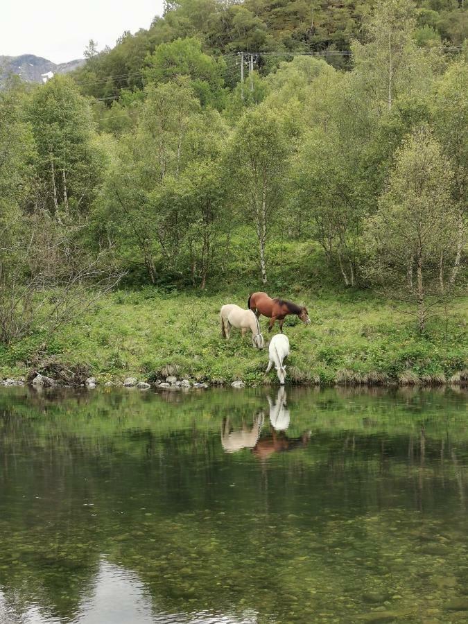 Steinklepp Camping Övre Övre Kvamme Exteriér fotografie